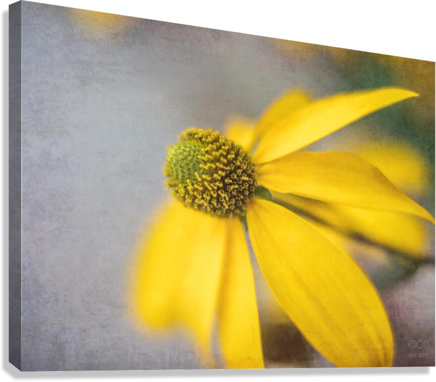  44A7971 Canvas Print