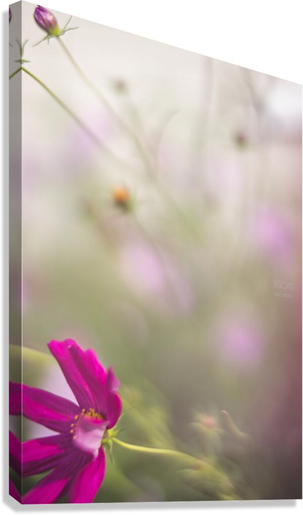  44A7987 Canvas Print