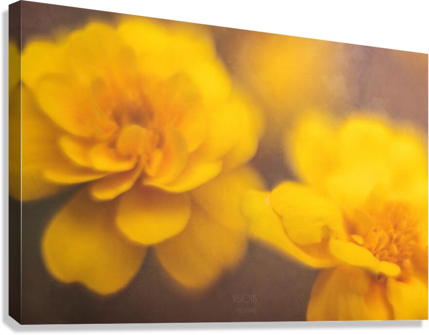  44A7904 Canvas Print