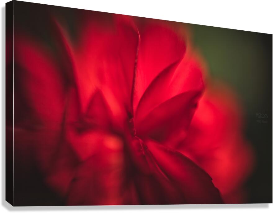  44A8243 Canvas Print