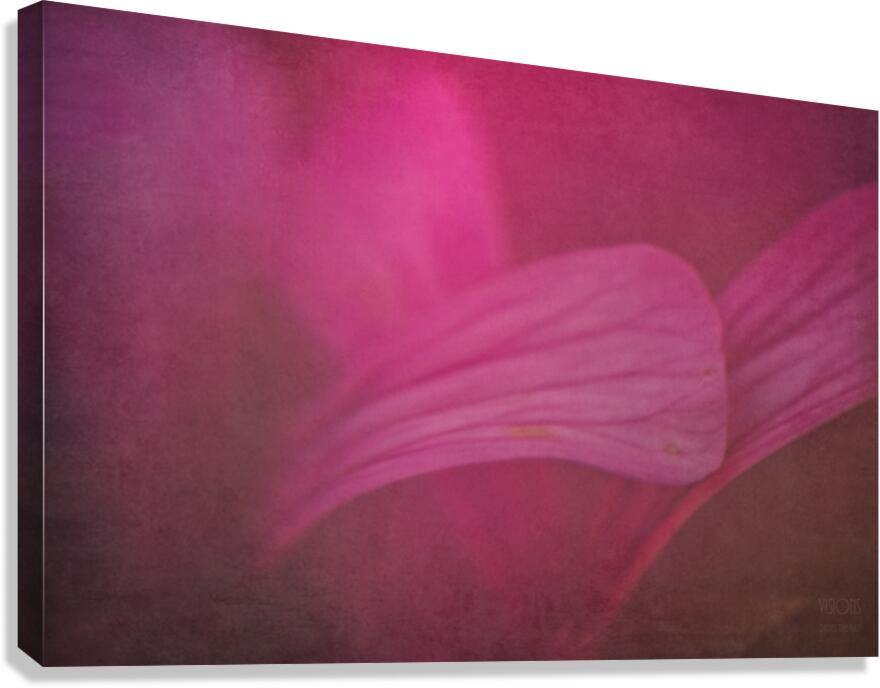  44A8106 Canvas Print