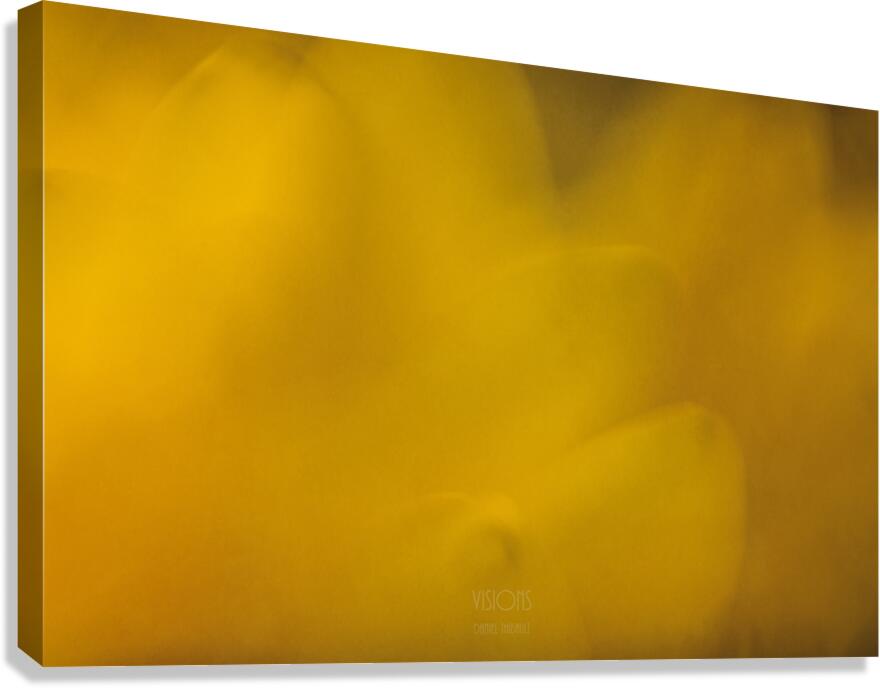  44A7975 Canvas Print