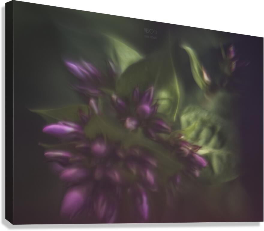  44A7844 Canvas Print