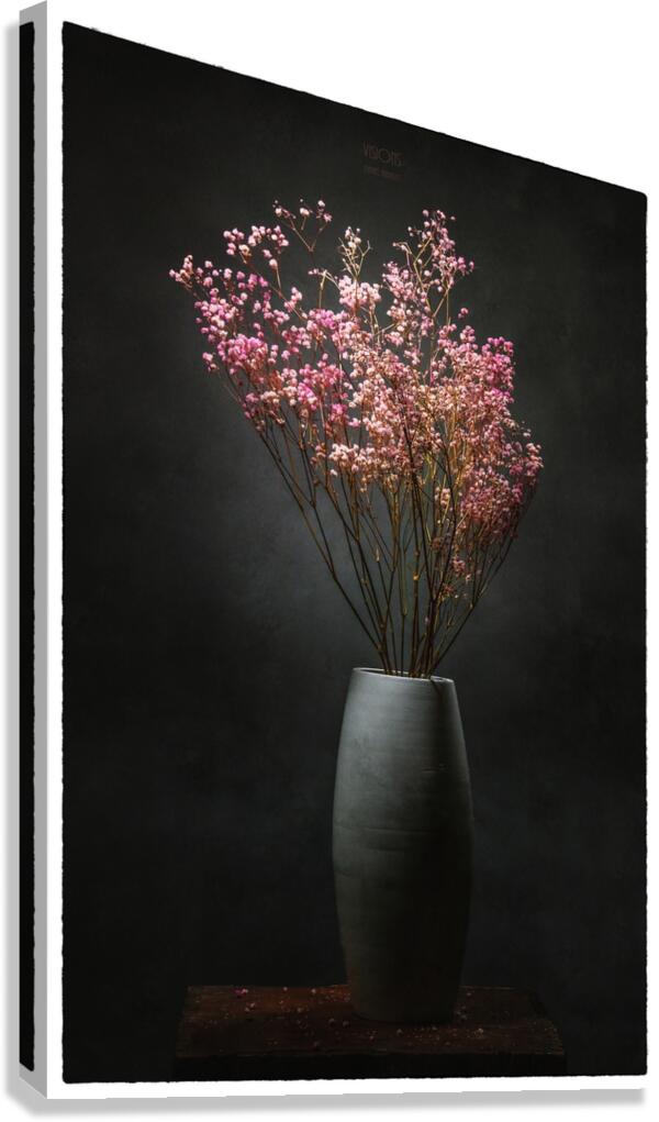 85A0240 Canvas Print