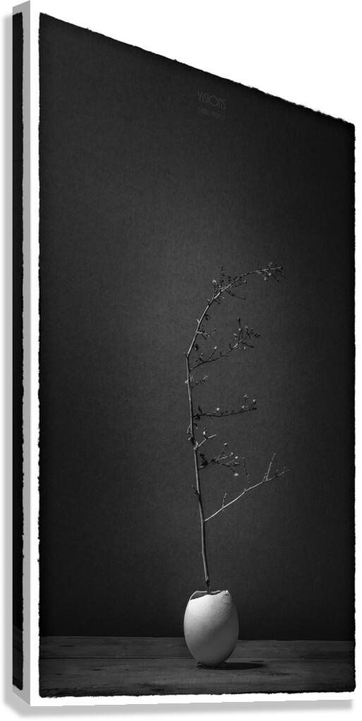 85A1283  Canvas Print