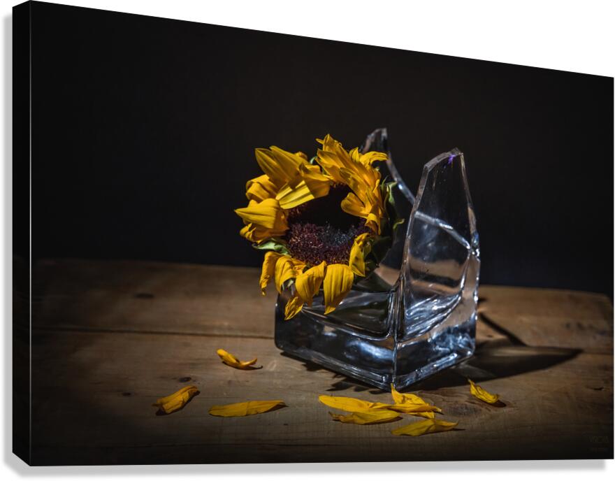  85A1453 Canvas Print