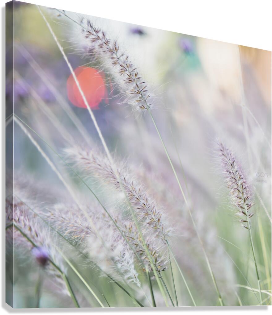  85A3649 Canvas Print