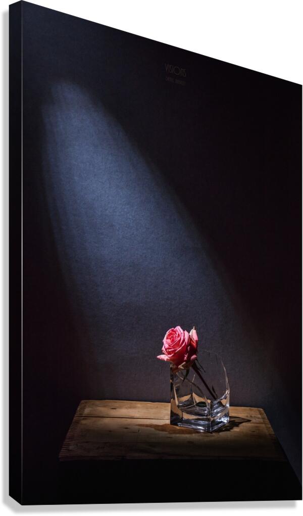 85A1496 Canvas Print