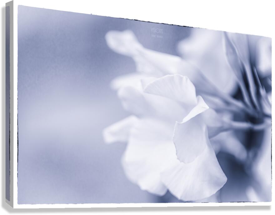  85A3620  Canvas Print