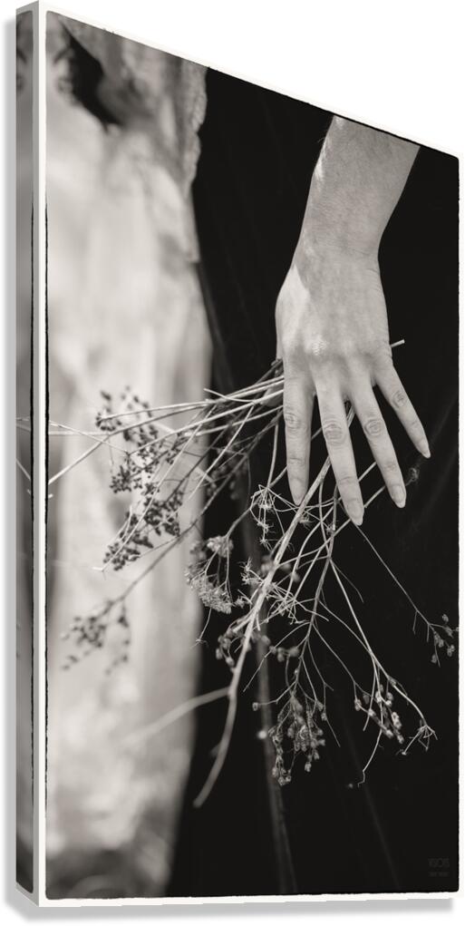  85A2607  Canvas Print