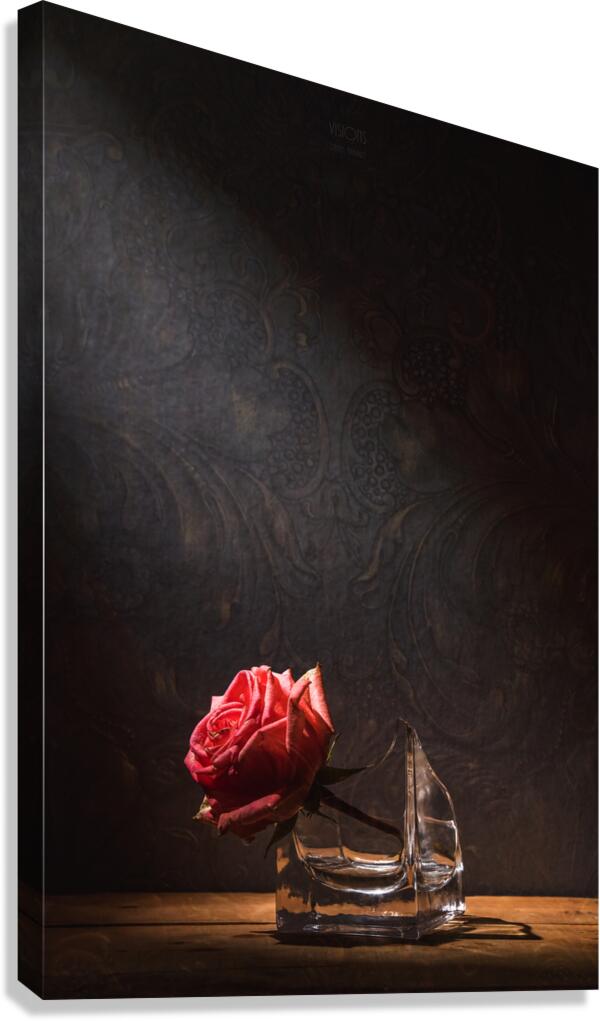  85A1482 Canvas Print