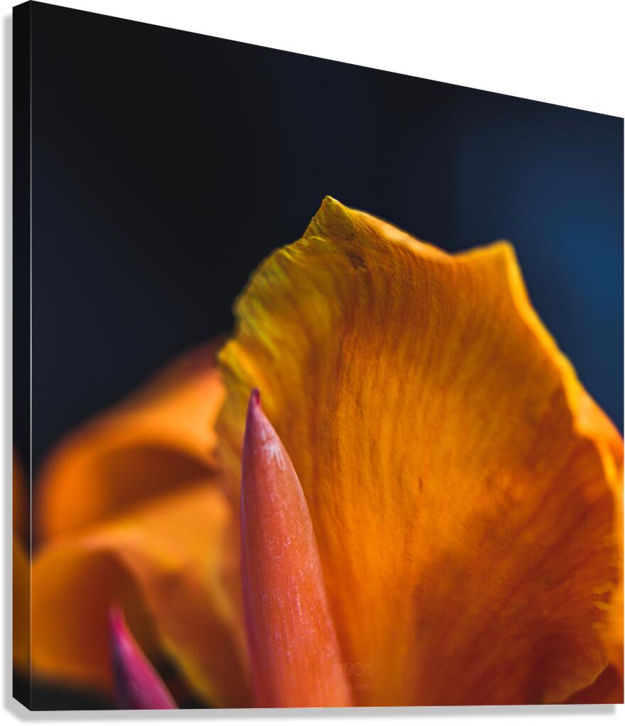  85A4163 Canvas Print