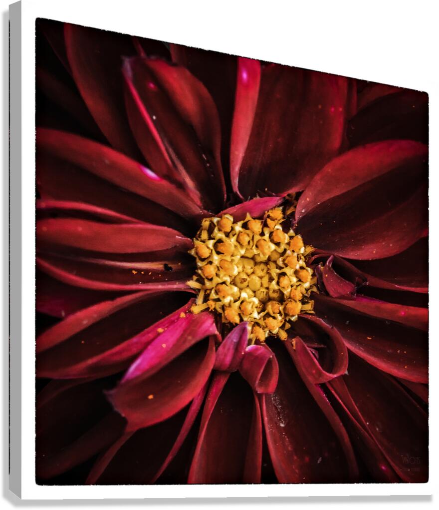  85A3812  Canvas Print