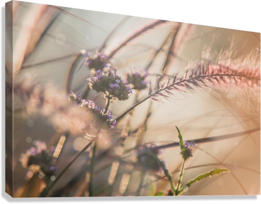  85A3678 Canvas Print