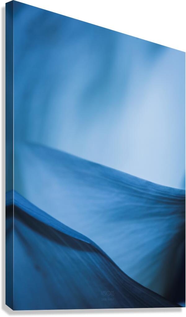  85A5977 Canvas Print