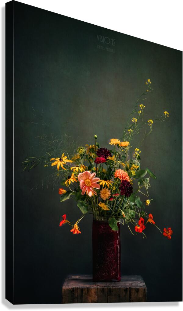  85A9311 Canvas Print