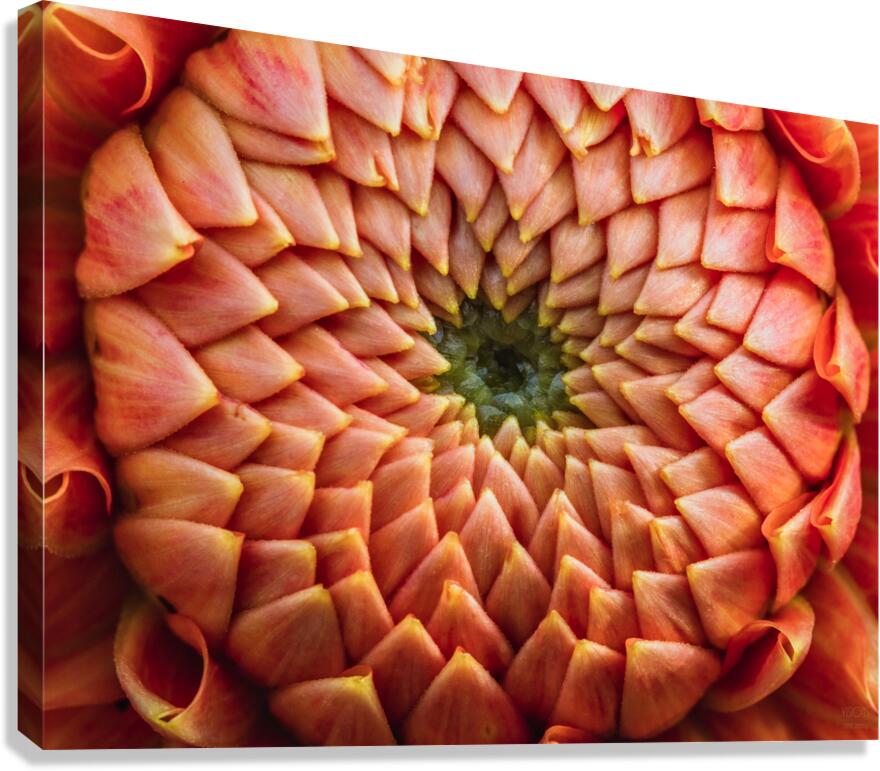  85A4692 Canvas Print