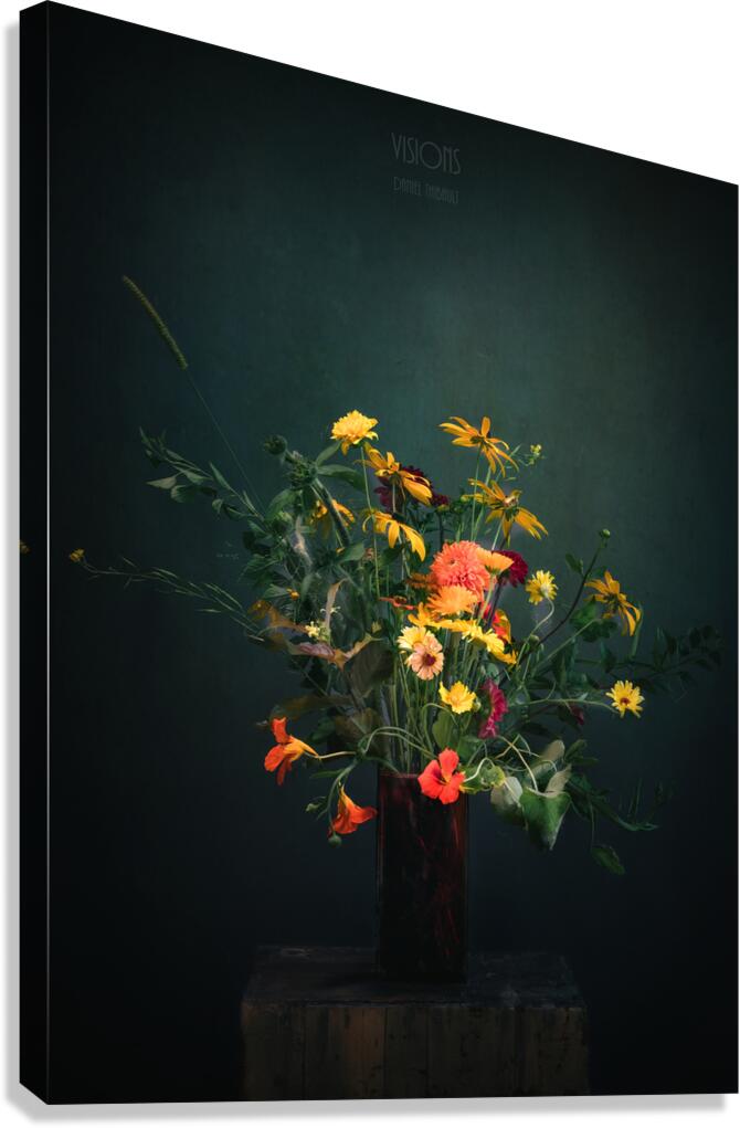  85A9313 Canvas Print