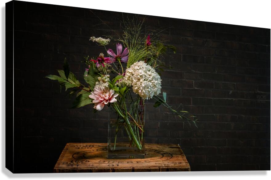  85A9367 Canvas Print