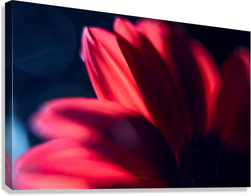 044A0506 Canvas Print