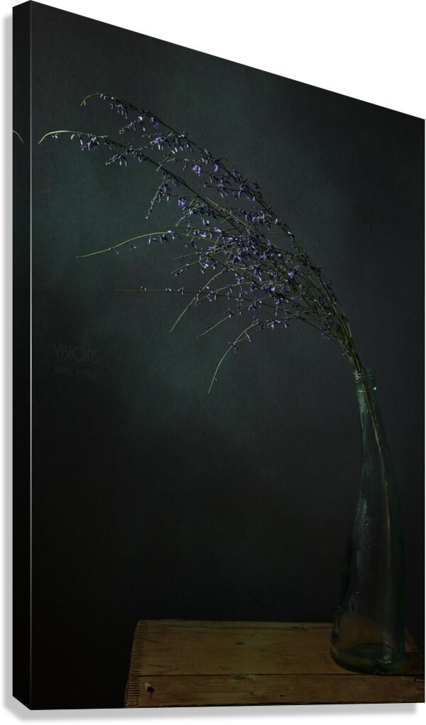 1Q8A7526 Canvas Print