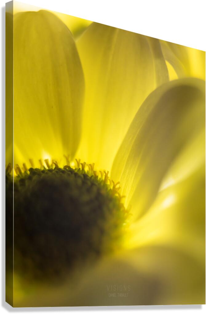 044A0526 Canvas Print