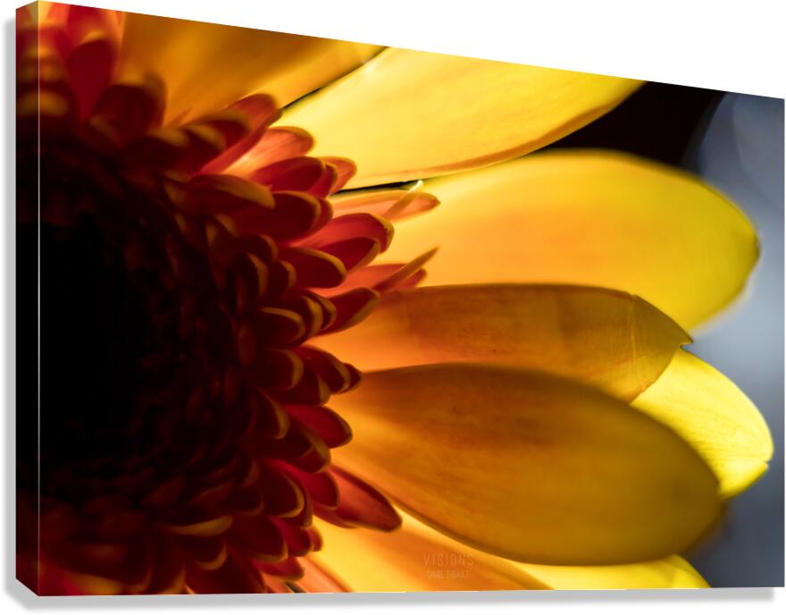 044A0508 Canvas Print