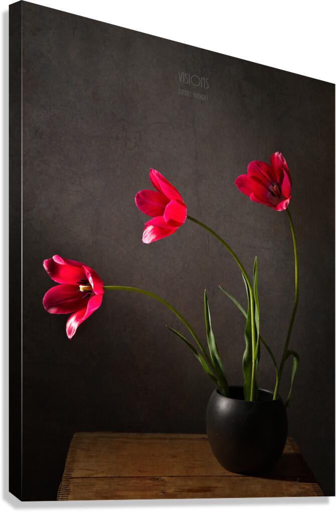 1Q8A7535 Canvas Print