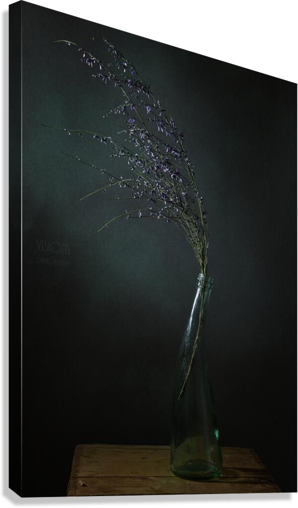 1Q8A7525 Canvas Print