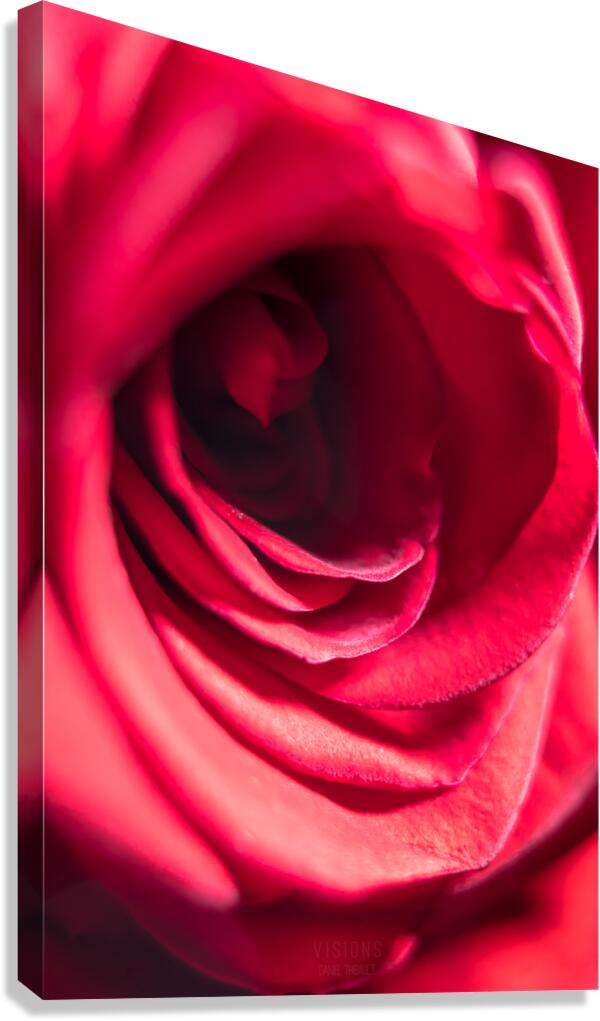 044A0522 Canvas Print