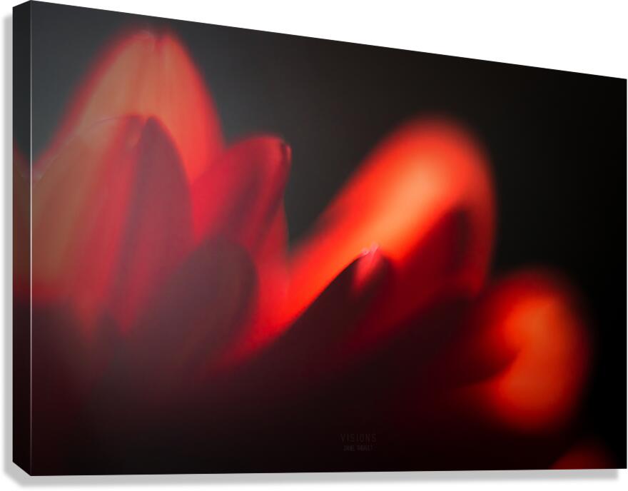 044A0503 Canvas Print
