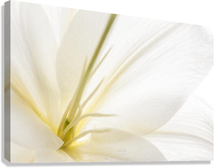 044A0766 Canvas Print
