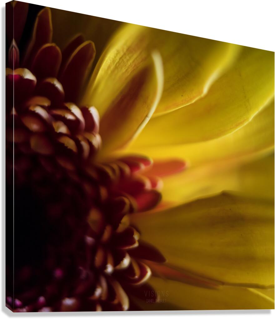 044A0545 Canvas Print