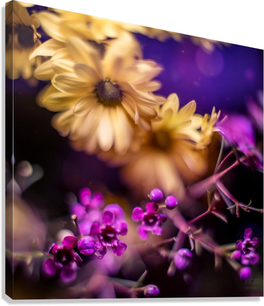 044A1004 Canvas Print