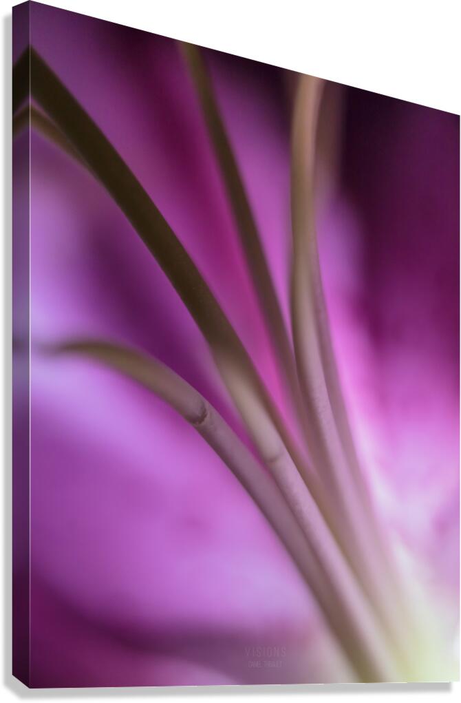 044A0537 Canvas Print