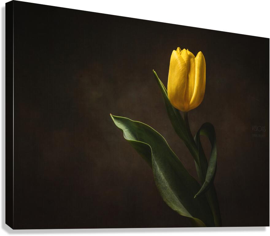 044A1027 Canvas Print