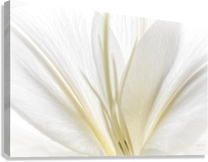 044A0774 Canvas Print