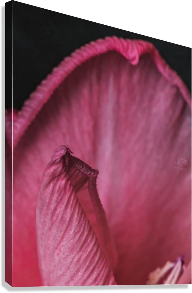 044A1280 Canvas Print
