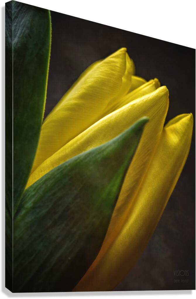 044A0916 Canvas Print
