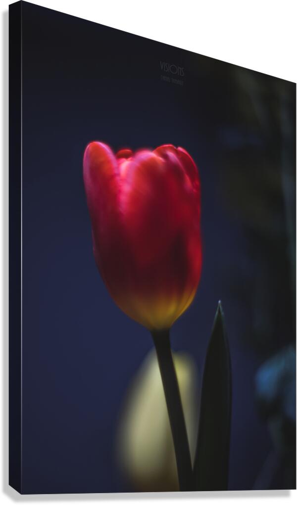 044A1005 Canvas Print