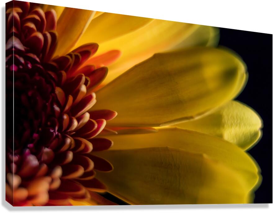 044A0542 Canvas Print