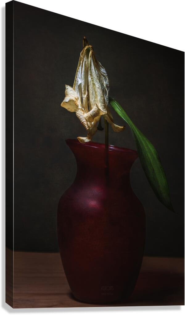 044A0866 Canvas Print