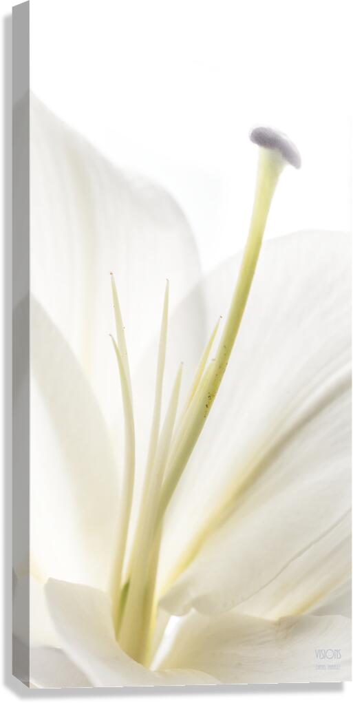 044A0776 Canvas Print