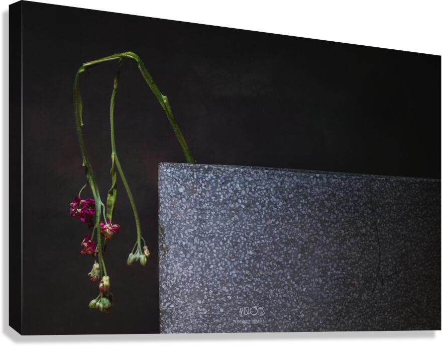 044A0837 Canvas Print