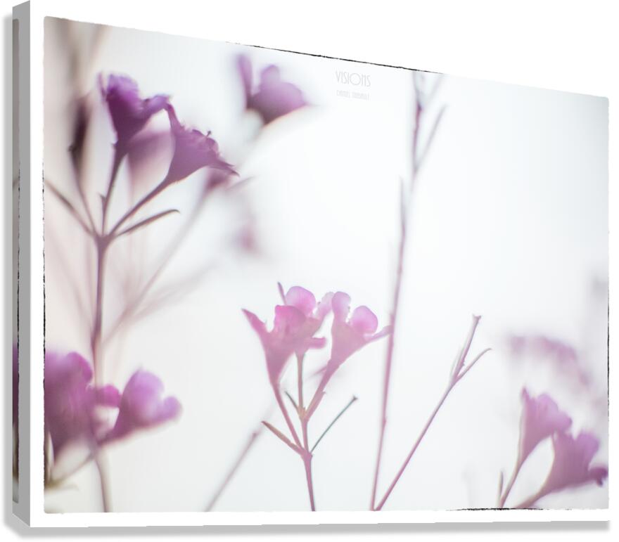 044A1218  Canvas Print