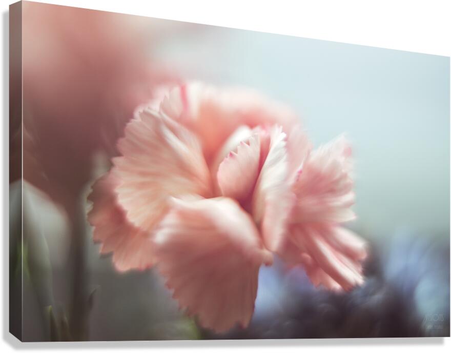 044A1684 Canvas Print