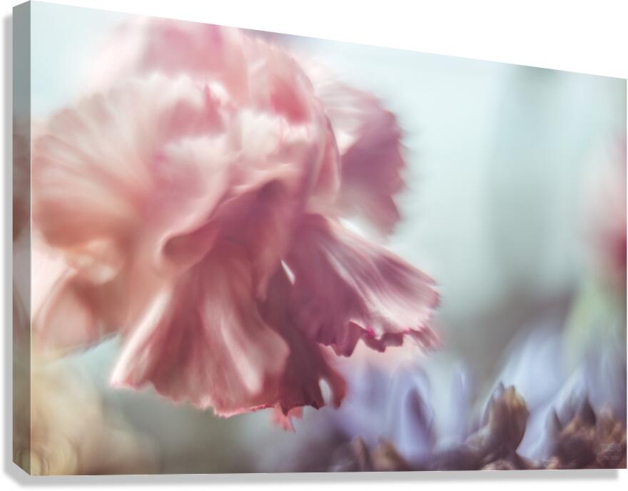 044A1686 Canvas Print