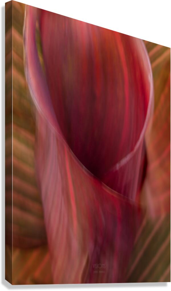 044A9273 Canvas Print