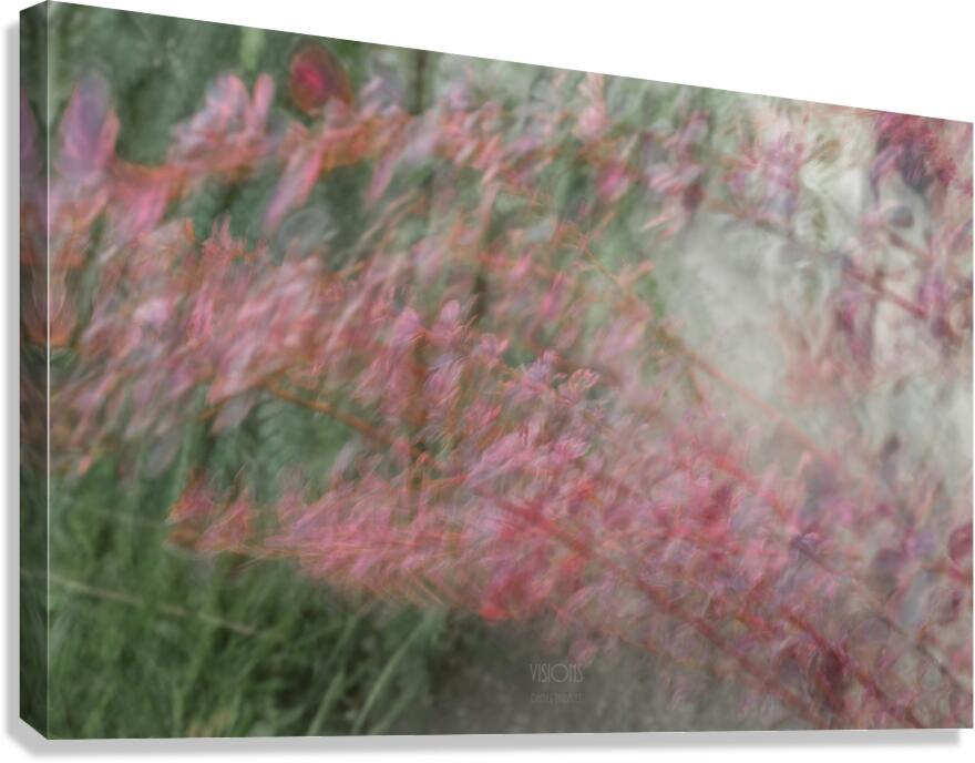 044A9012 Canvas Print