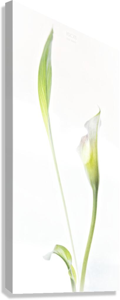 044A3535 Canvas Print
